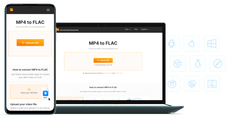 Yazılım kurulumu yok