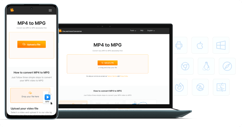 Yazılım kurulumu yok