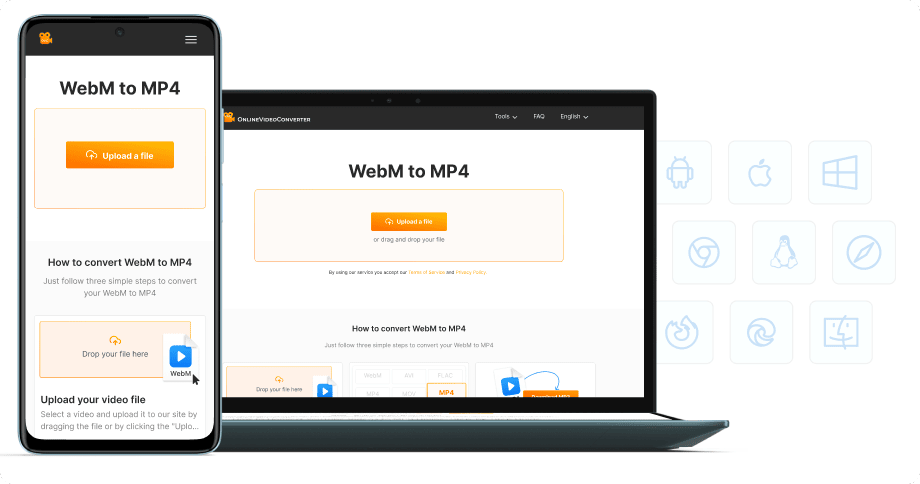 Yazılım kurulumu yok